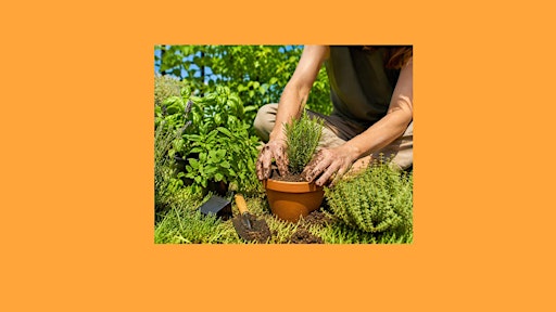 Reducí tu estrés. Conectá con las plantas.