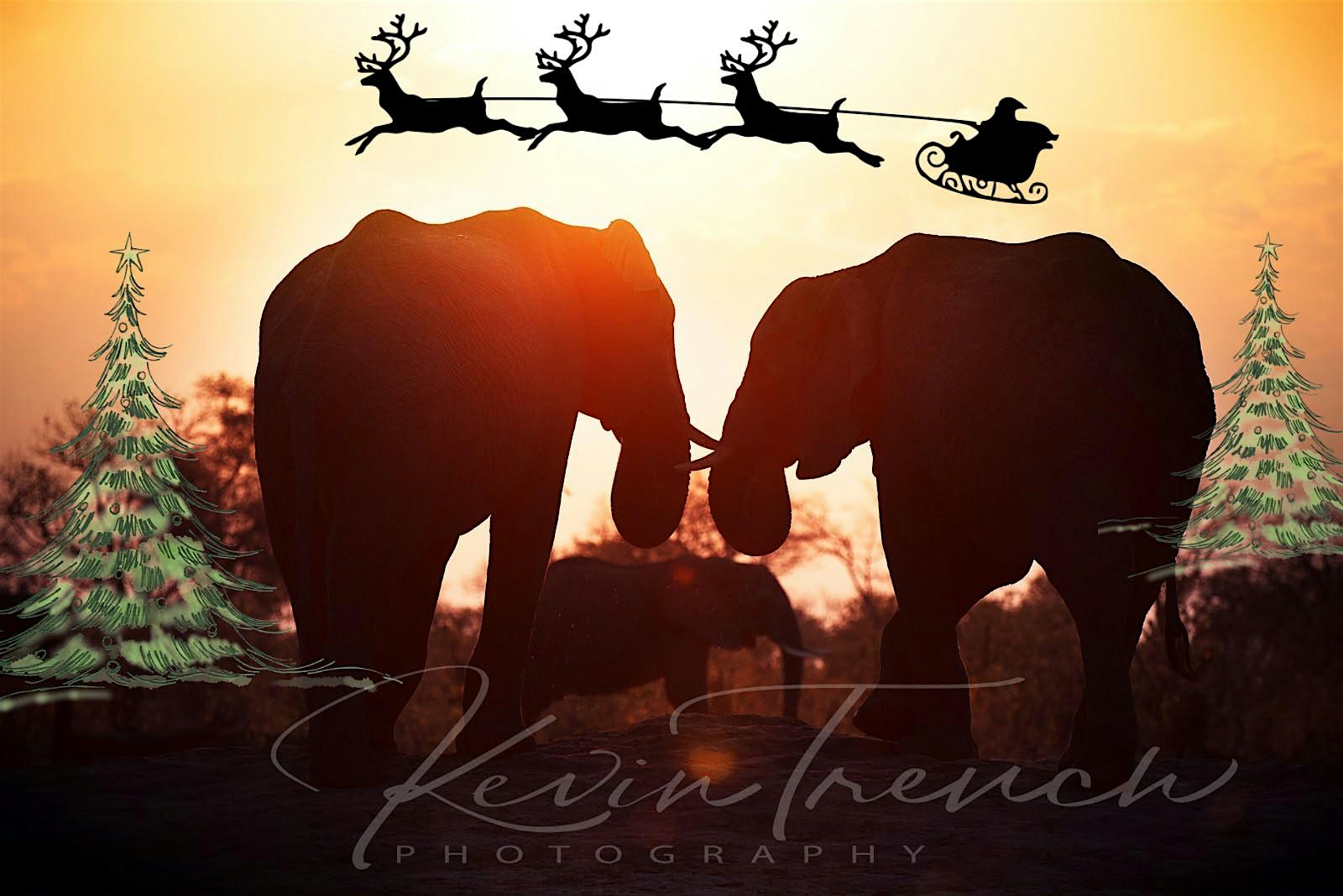 Southern Africa Christmas Market 2026