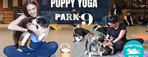 Park-9 Puppy Yoga with Sweet Paws Rescue