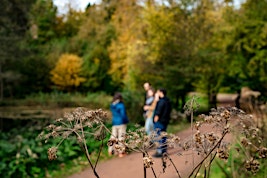 Gestion écologique d'un jardin vivant