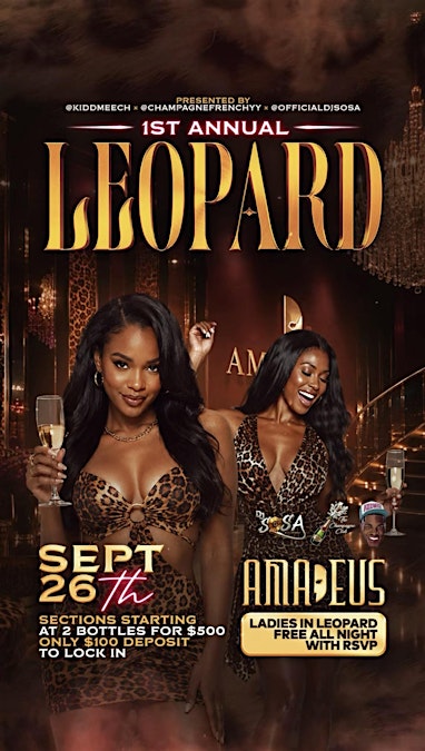 LEOPARD AFTER DARK