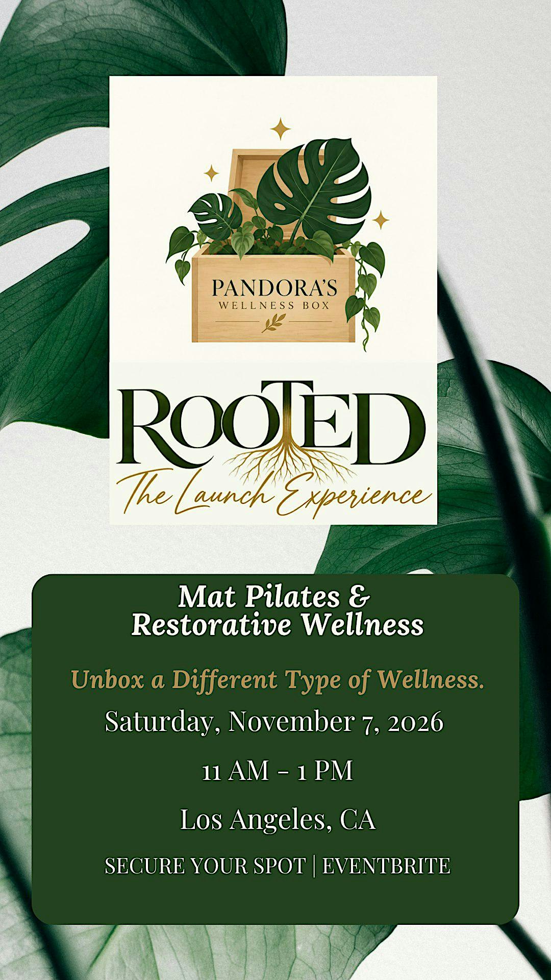 Rooted: The Launch Experience | Pandora’s Wellness Box