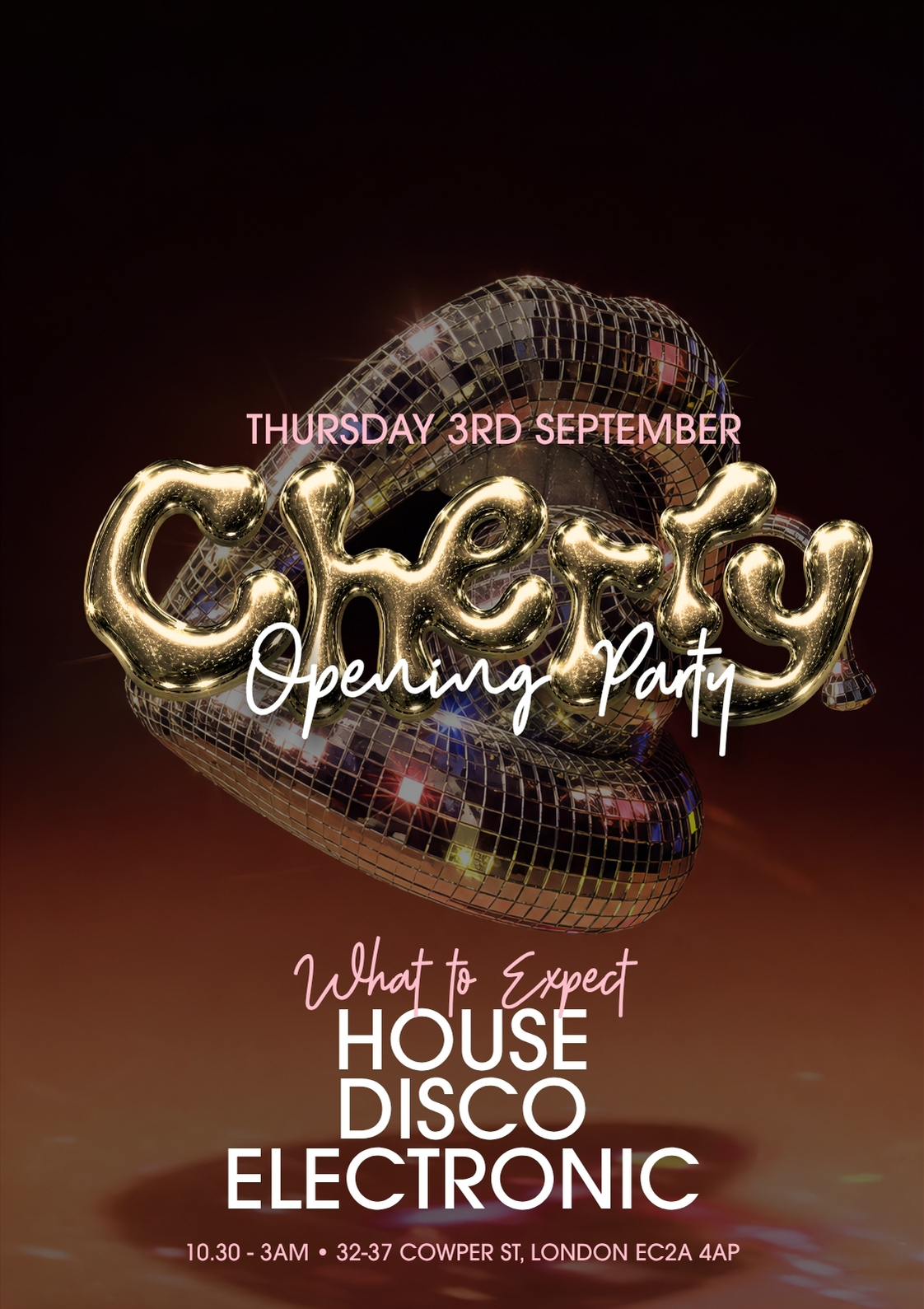 Cherry - Opening Party (Disco, House & Electronic) 