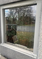 Preventing Bird Window Strikes Workshop