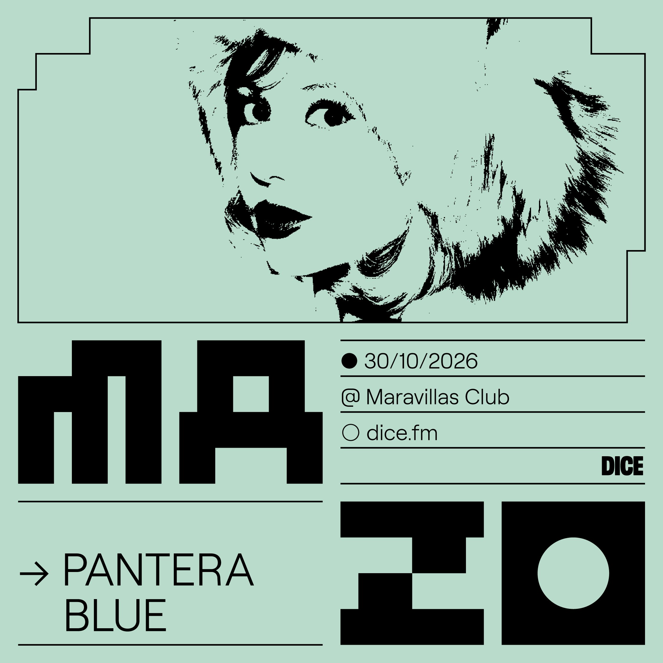 PANTERA BLUE en MAZO