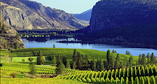 Iconic Wineries of BC