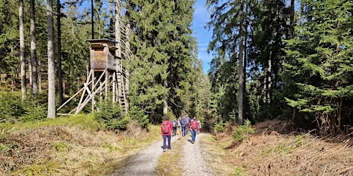 Singlewanderung: Freiburg -  Tuniberg-Runde mit Aussicht & Auszeit (30+)
