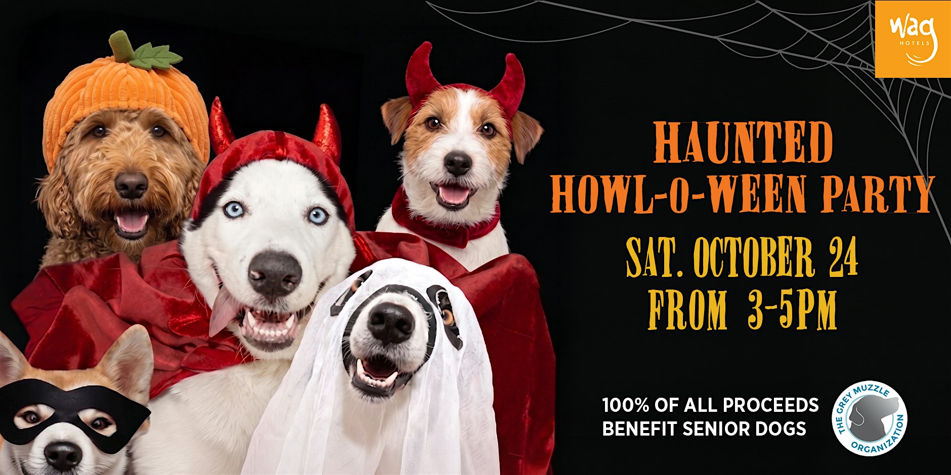 Haunted Howl-o-ween Party for Dogs at Wag Hotels Richardson