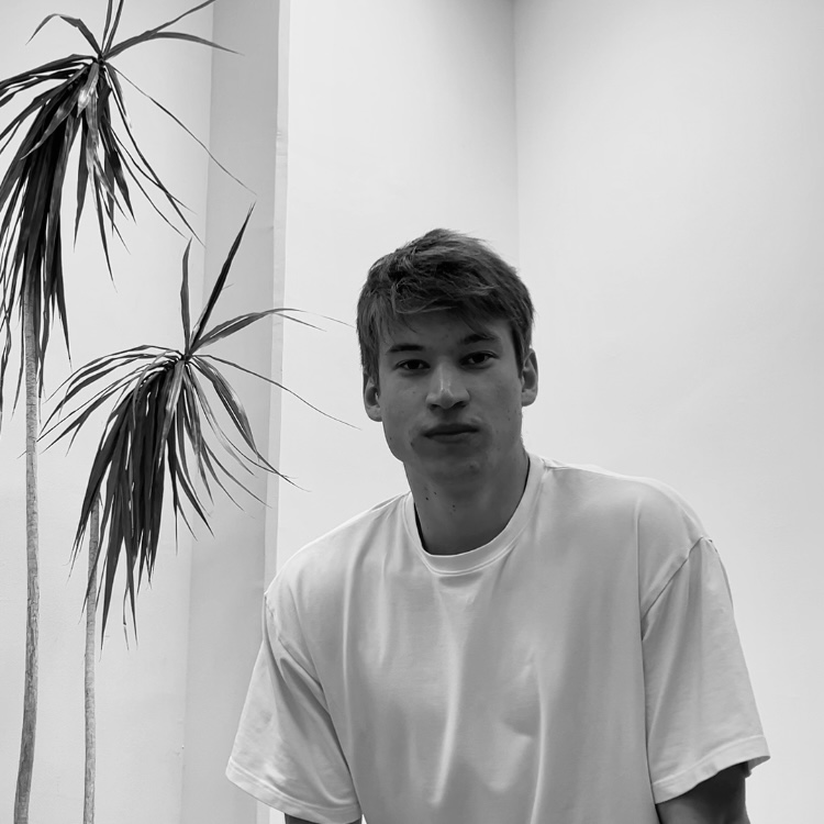 electronic.thursday mit halfaneagle
