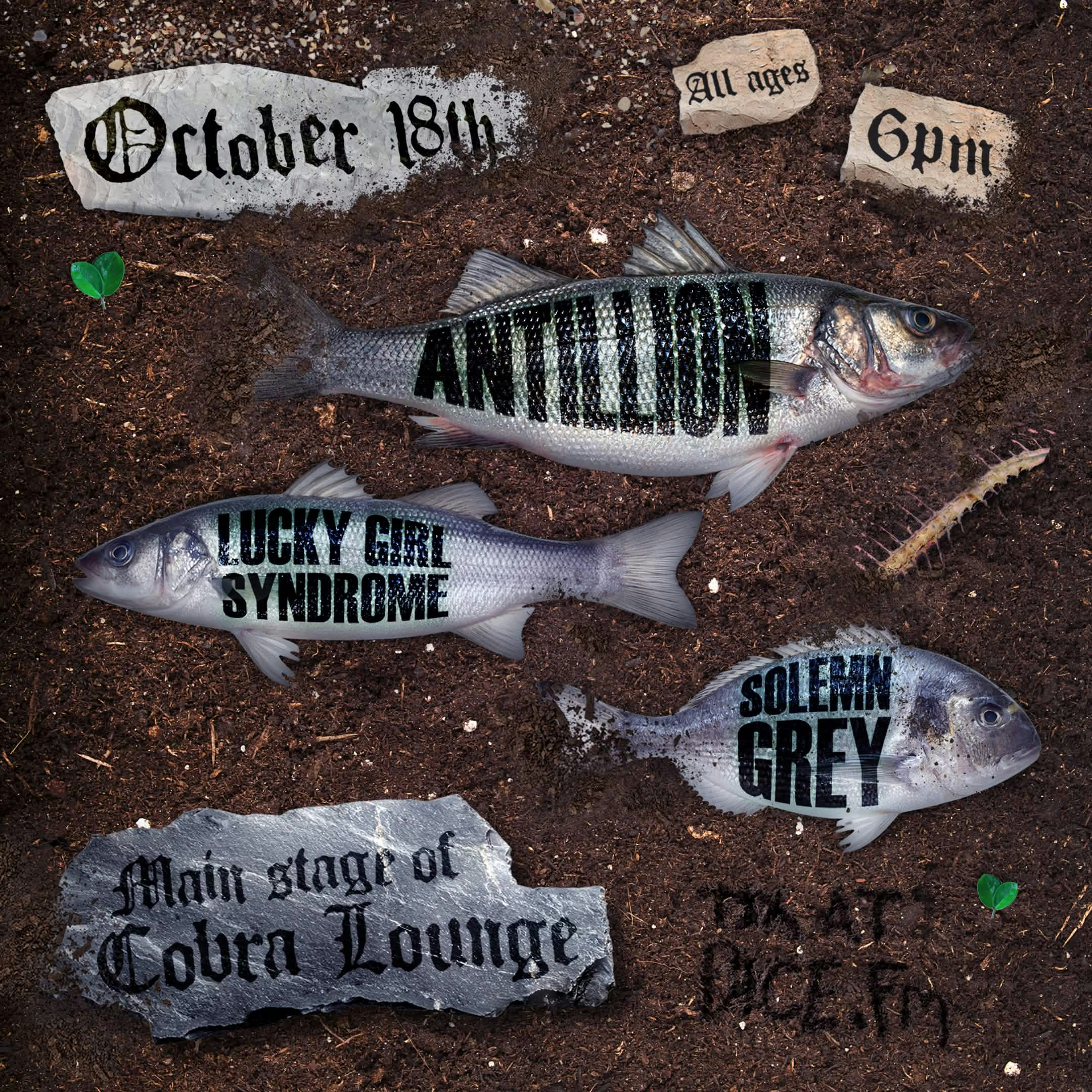 Antillion / Lucky Girl Syndrome / Solemn Grey