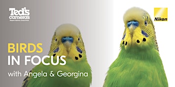 Birds in Focus with Angela Robertson Buchanan & Georgina Steytler