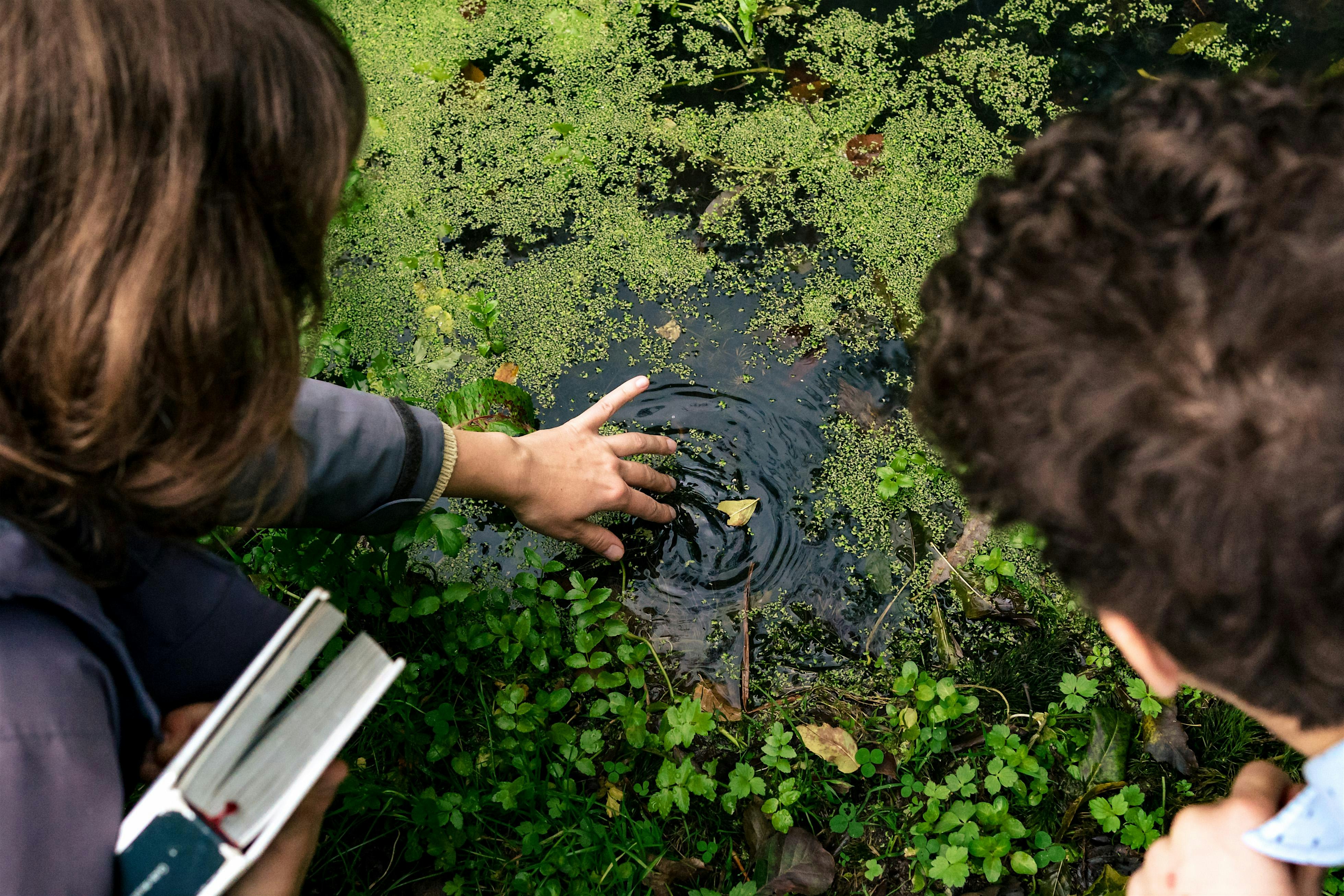 Visite du site semi-naturel du Moeraske