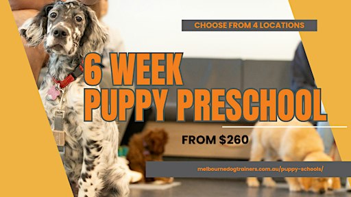 Puppy Preschool - (6 weeks. In-person)