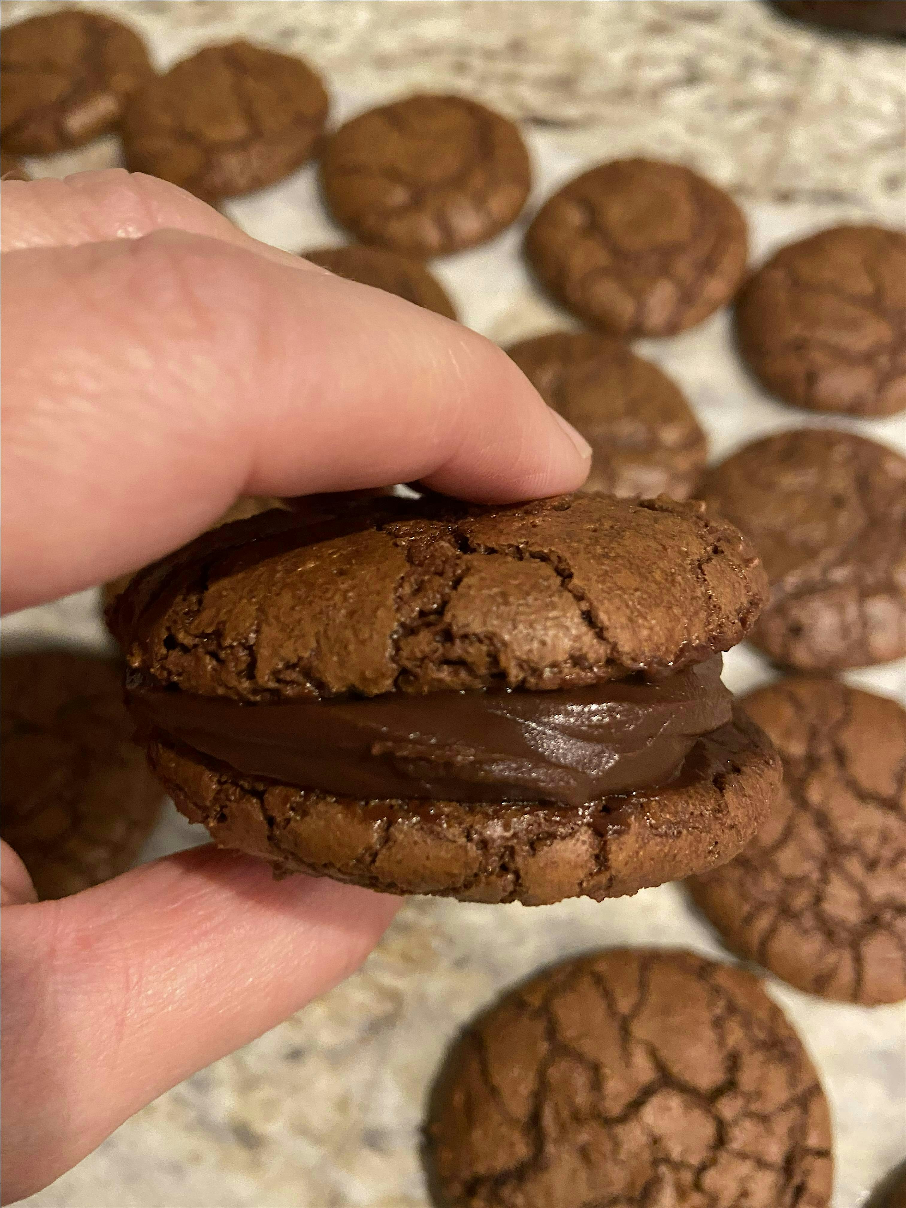 Annie's Signature Sweets FUDGE BROWNIE  COOKIE BAKING CLASS