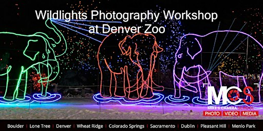 3 Part Wildlights Photography workshop at Denver Zoo
