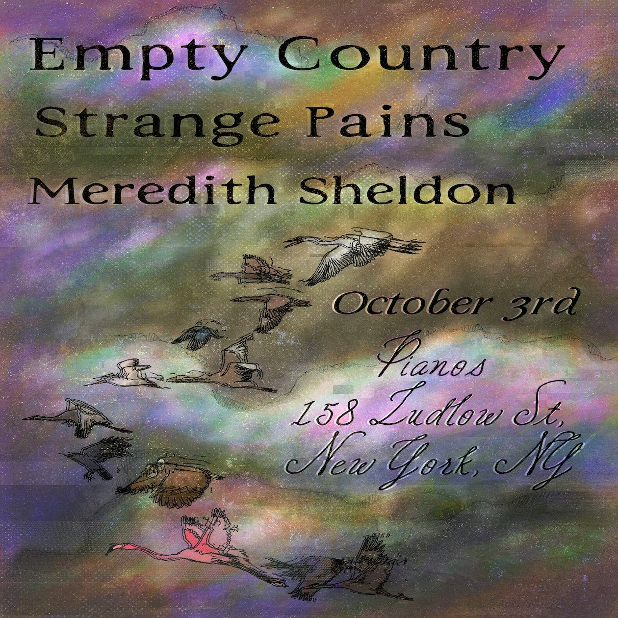Empty Country • Strange Pains • Meredith Sheldon