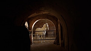 Between the Ditches and Ramparts [screening + discussion]