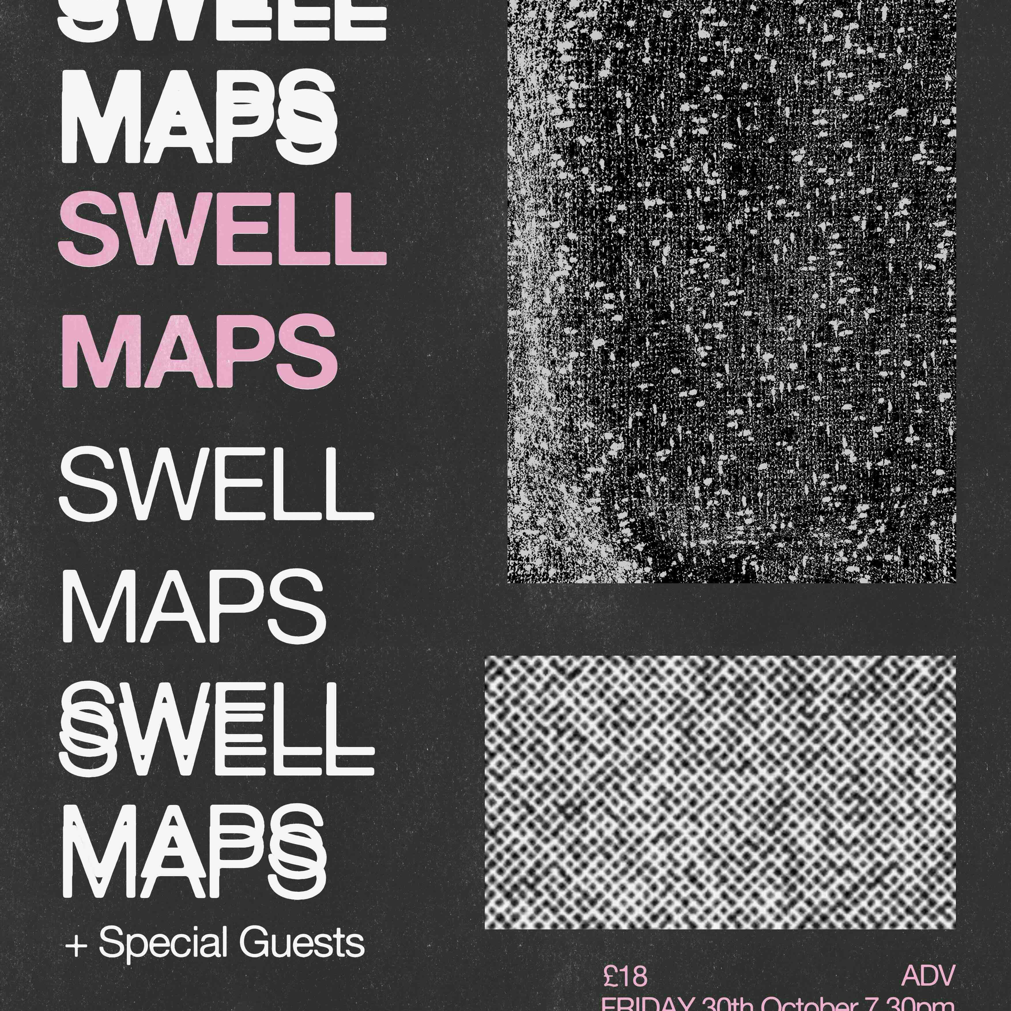 Swell Maps + Guests