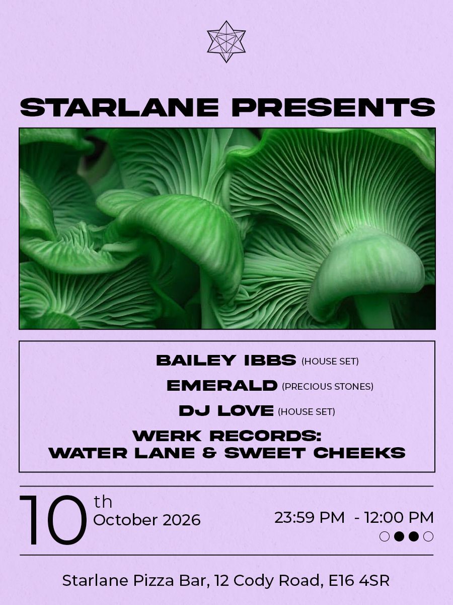 Starlane presents: Bailey Ibbs, Emerald, DJ Love, Werk Records