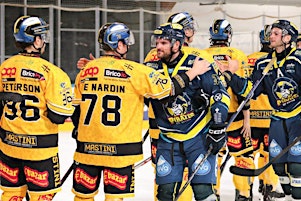 Incontro con Hockey Varese