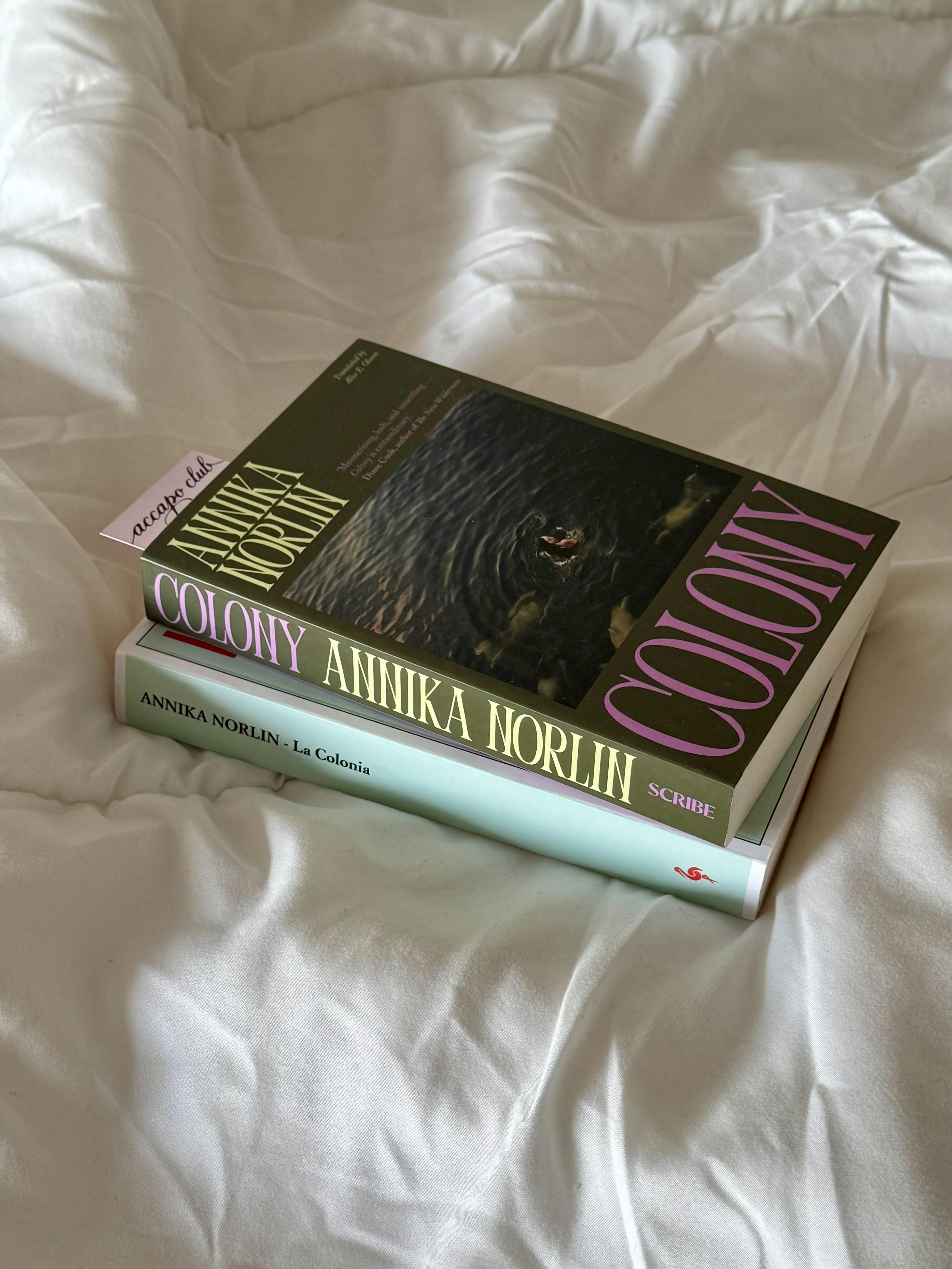 Novembre Book Club