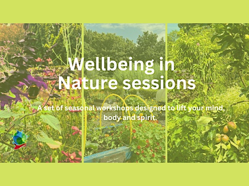 A wellbeing in nature workshop for Winter