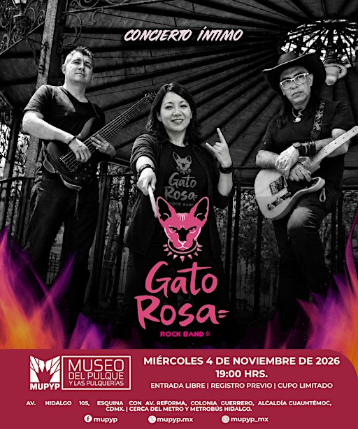 CONCIERTO ÍNTIMO / GATO ROSA
