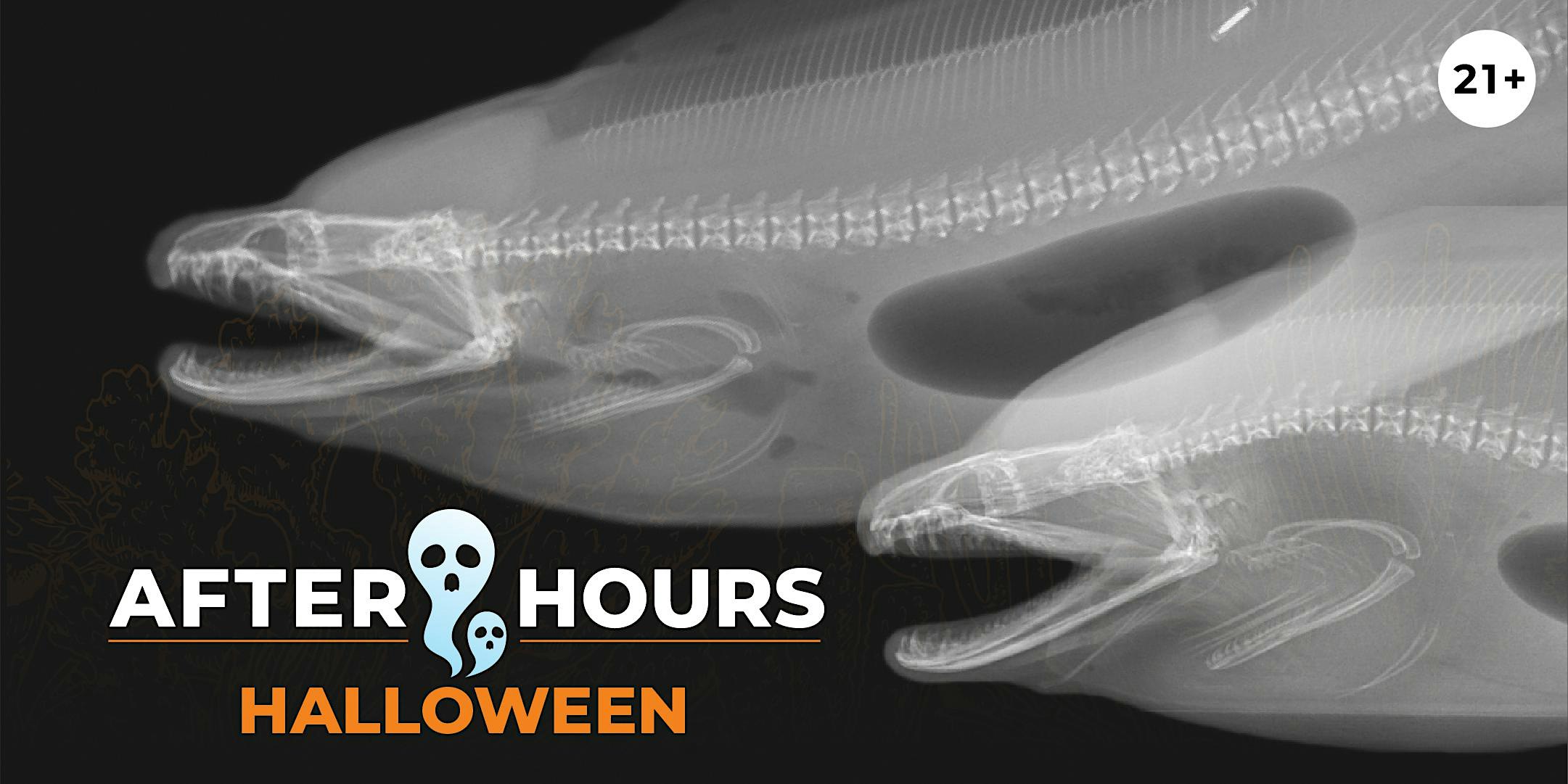After Hours Premier: Halloween