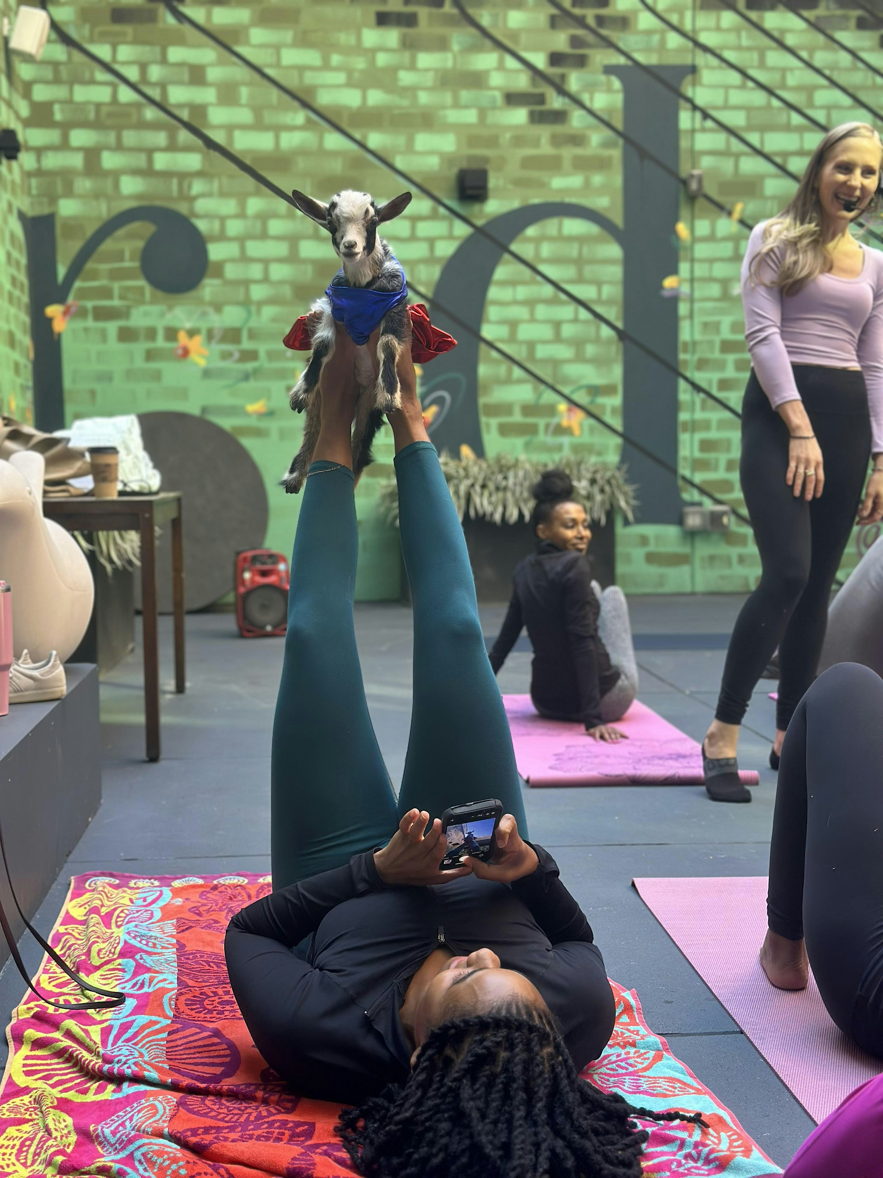 Goat Yoga at Bellyard