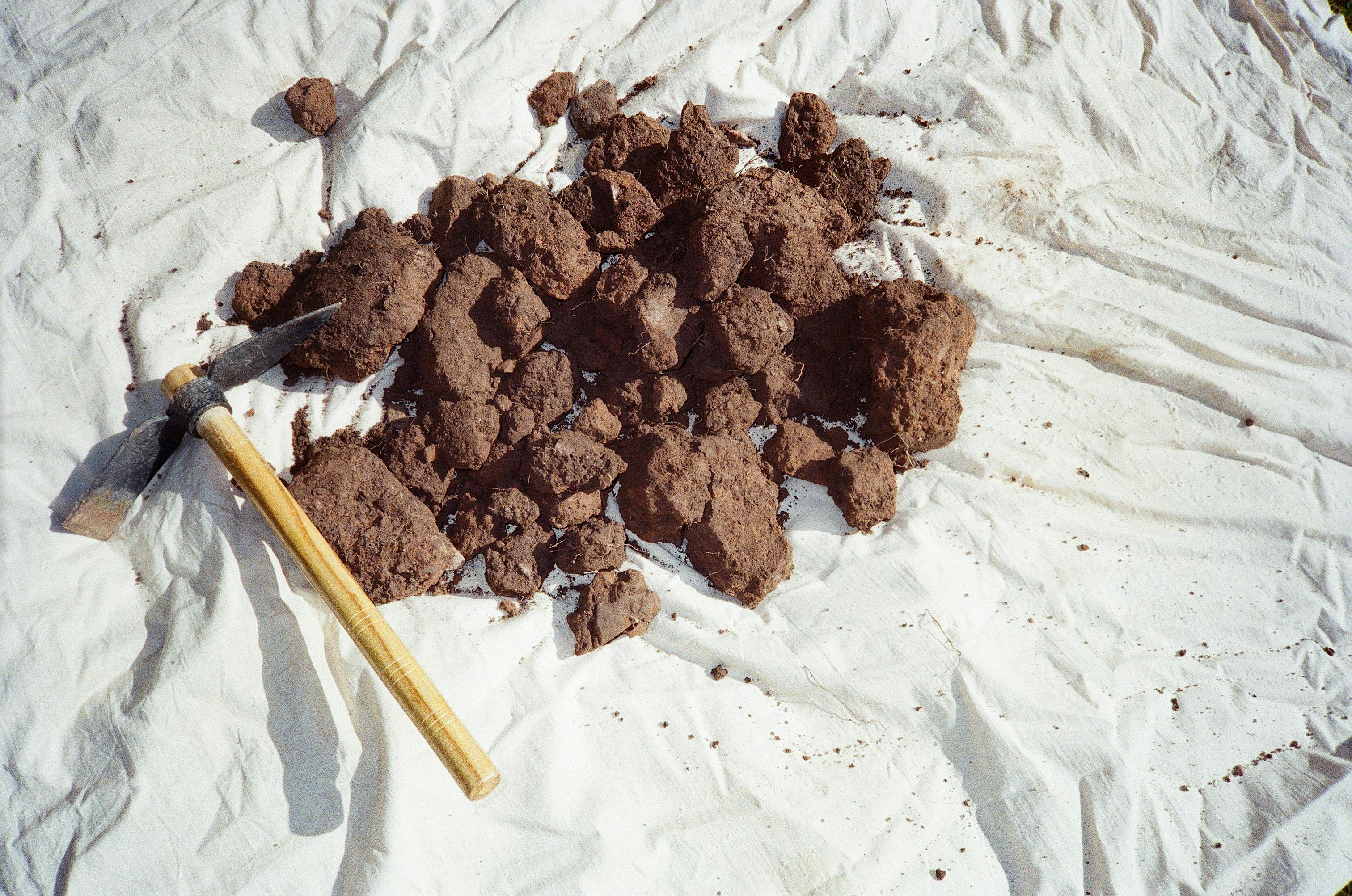 Mud Club Harvest - Three Week Course