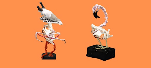 Halloween program - Exquisite Corpse: Shadow Lines & Optical Art