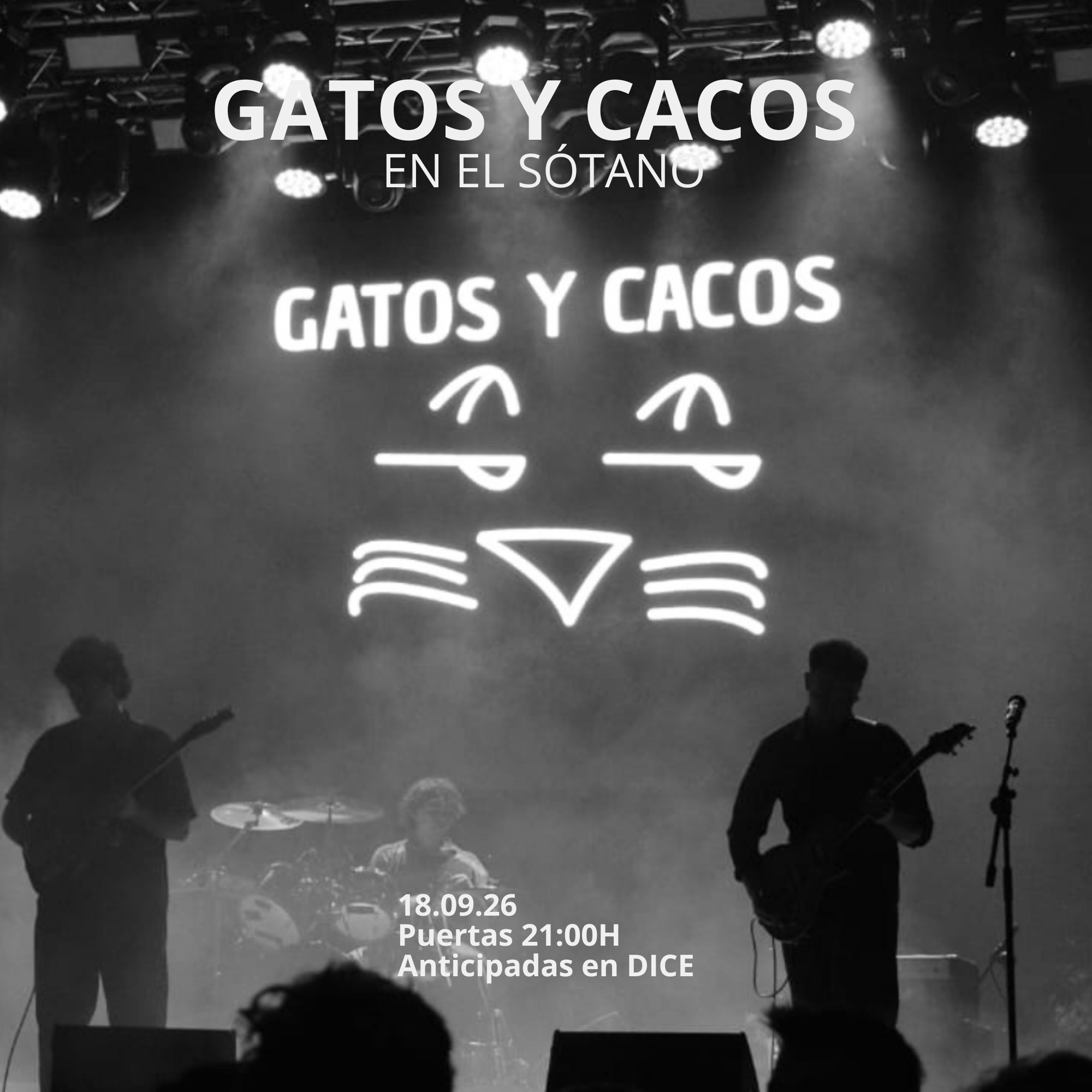 GATOS Y CACOS EN EL SÓTANO
