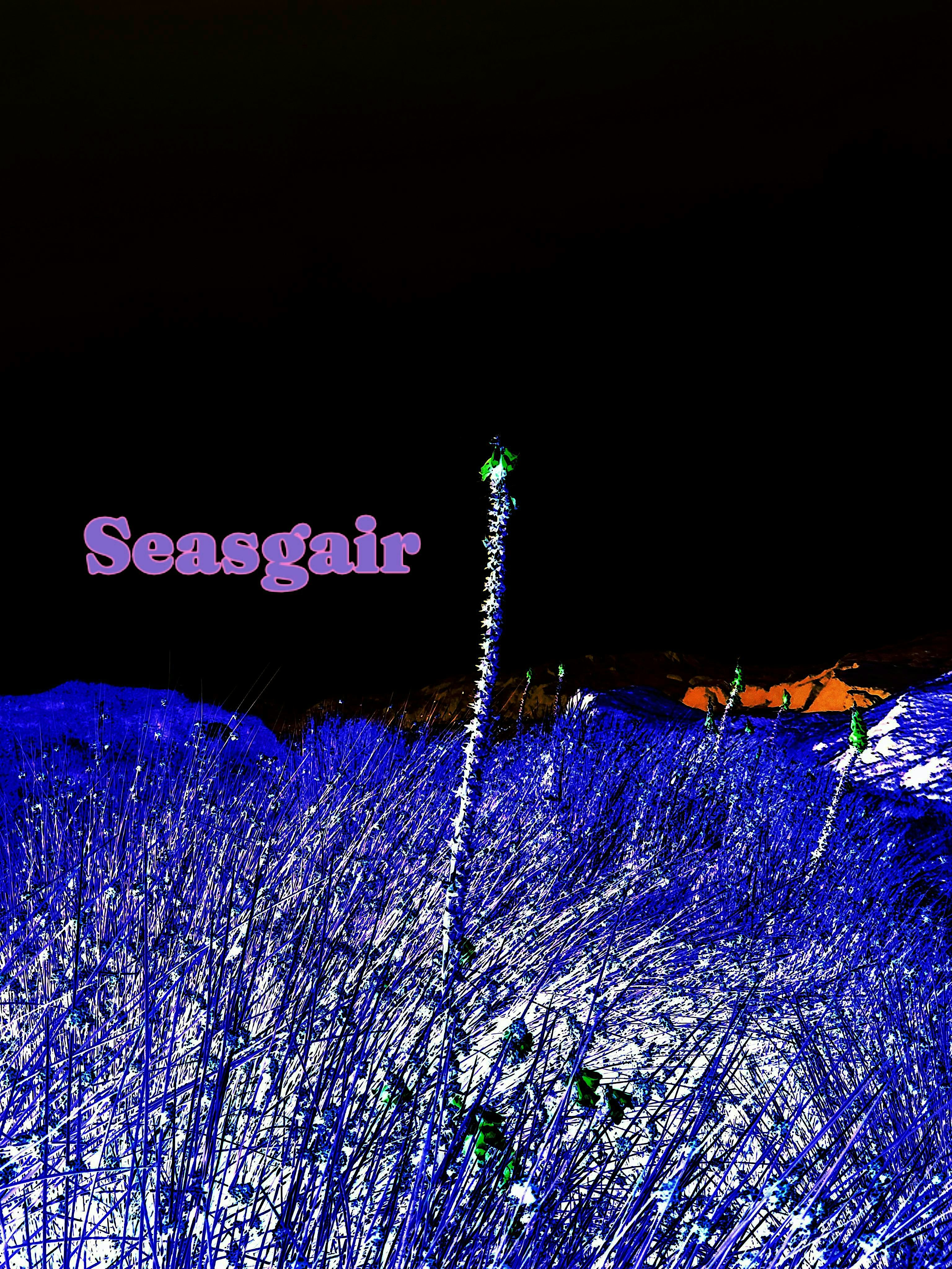 Seasgair @ Women on Wheels