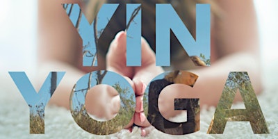 Yin & Restorative Yoga