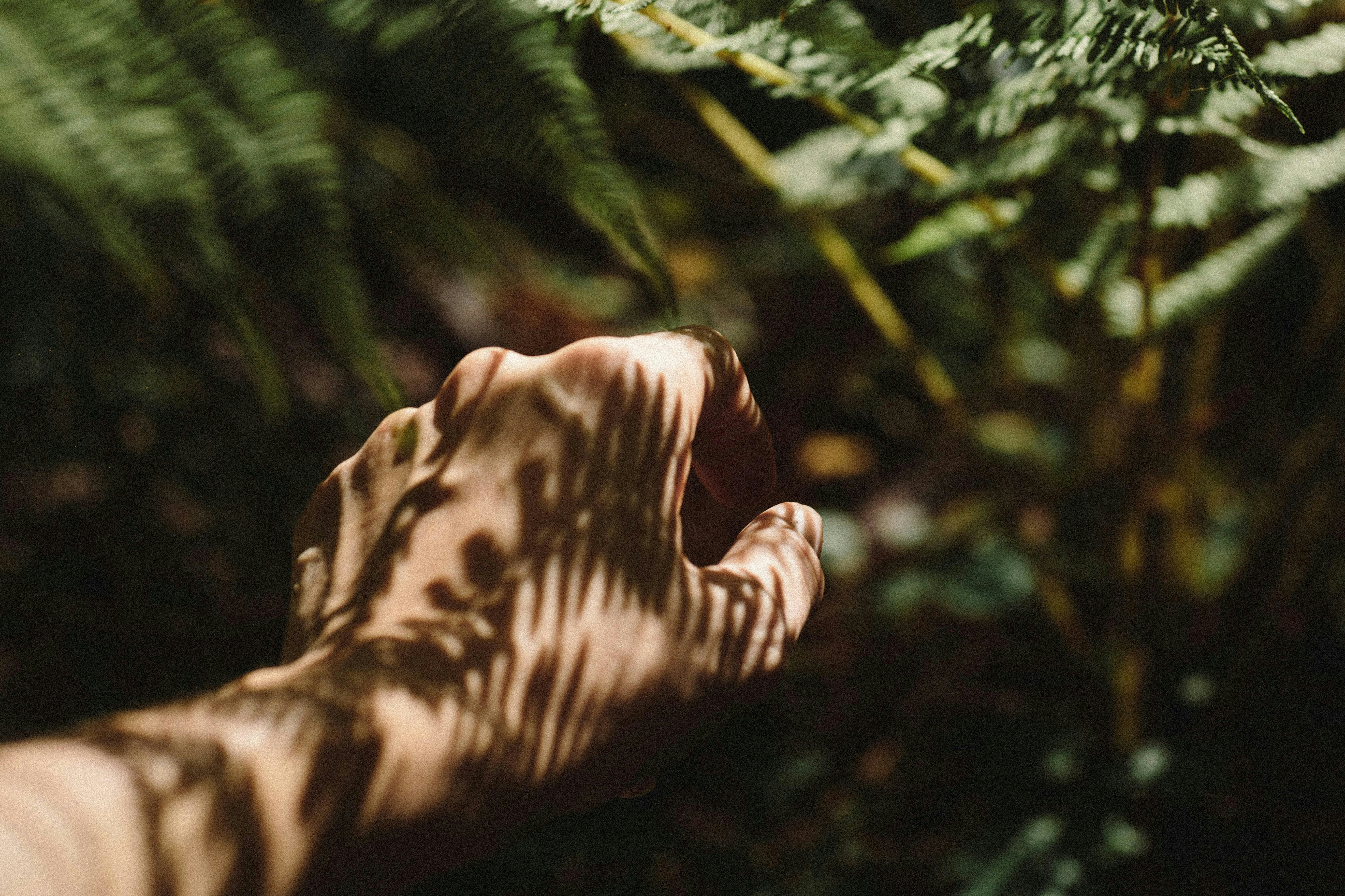 SOFT HEALTH - A NATURE & WELLBEING EXPERIENCE
