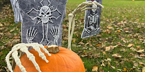 Pumpkin Patch Carving