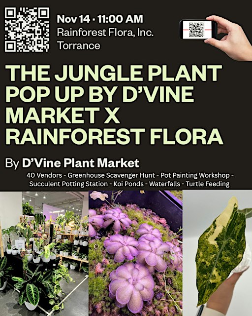 The Jungle Plant Pop Up by D’Vine Market x Rainforest Flora