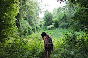Wild Wise: Seasonal Foraging & Plant Lore Tours
