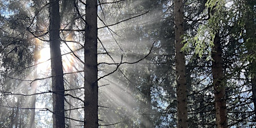 Deep connected Breath - eine Reise zu dir