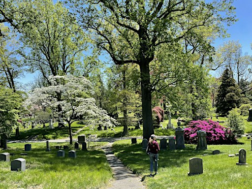 Grave Beginnings: Walking Green-Wood
