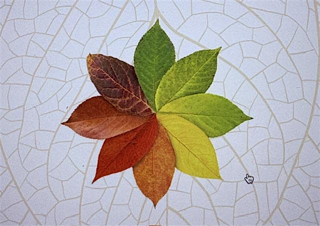 Inner Alchemy and the Grateful Death Present: The Art of Impermanence