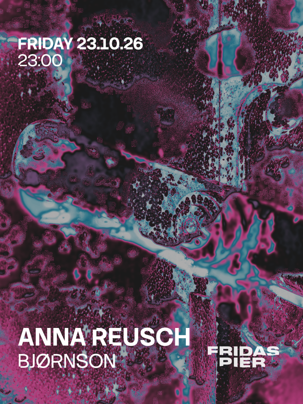 Anna Reusch, Bjørnson