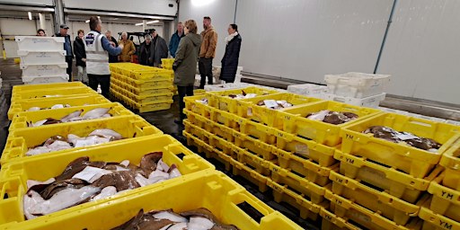 Rondleiding Visafslag IJmuiden