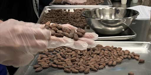 Dark Chocolate Making 101 - From The Bean (2 Evenings)