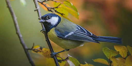 Canon Birding Workshop