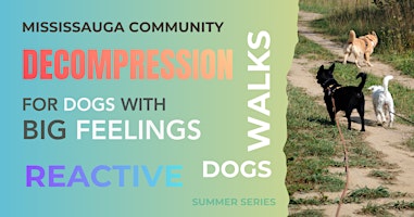 Decompression Walks | For Dogs With Big Feelings.