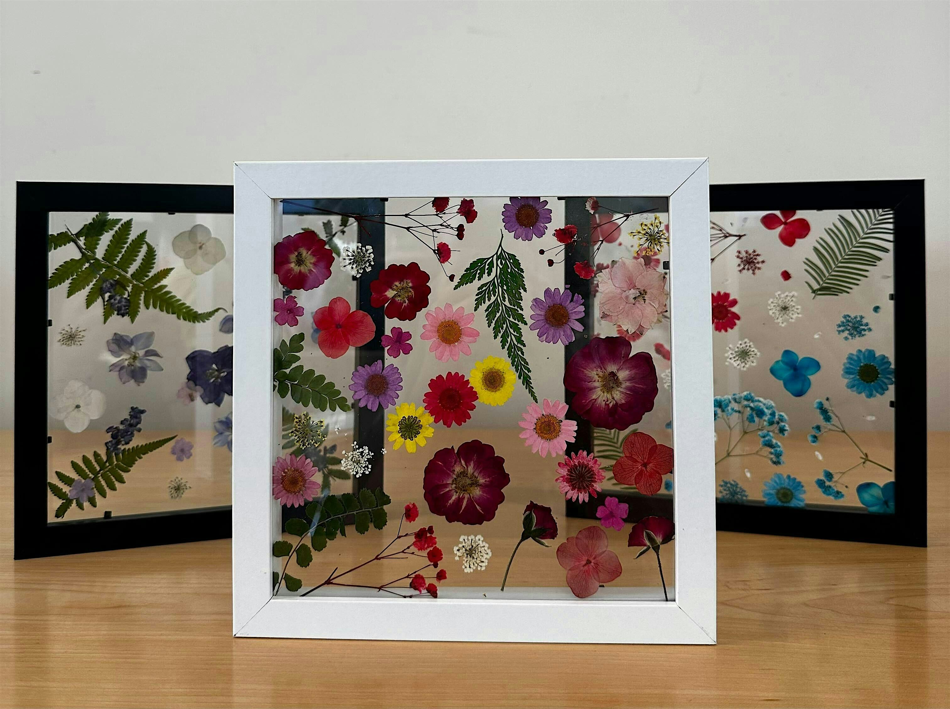 Pressed Flower Frame (Cambridge)