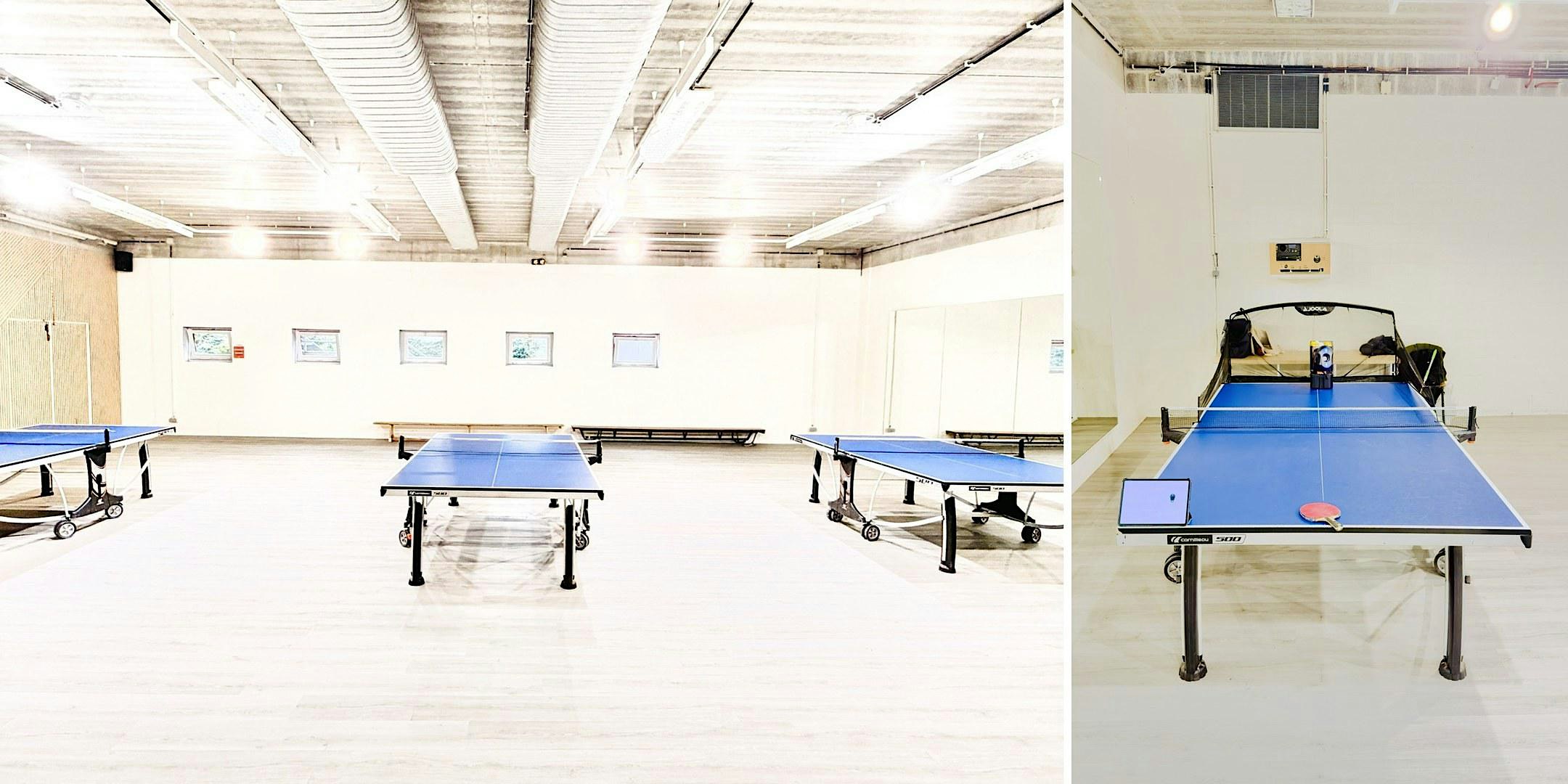 Sunday Ping-Pong in Brussels · Intermediate-Advanced · €7.50