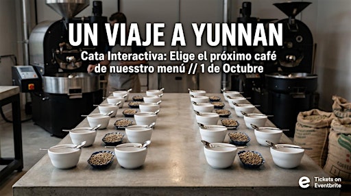 Un viaje a Yunnan: Elige el próximo café de nuestro menú