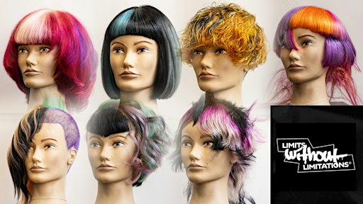 The Limits Without Limitations Educational Hairdressing Game Experience.